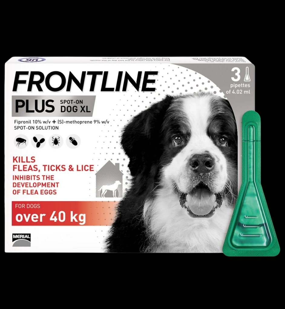 Frontline Plus Dog XL 40+kg packaging which is available to order online from NowPatient with next day delivery