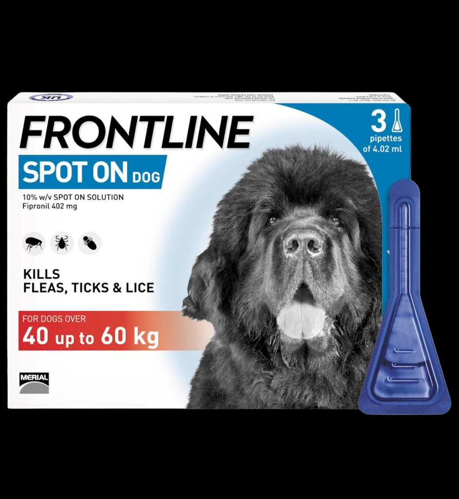 Frontline Spot On Dog XL 40-60kg packaging which is available to order online from NowPatient with next day delivery
