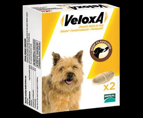 Veloxa packaging which is available to order online from NowPatient with next day delivery