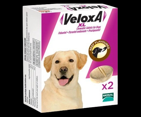 Veloxa XL packaging which is available to order online from NowPatient with next day delivery