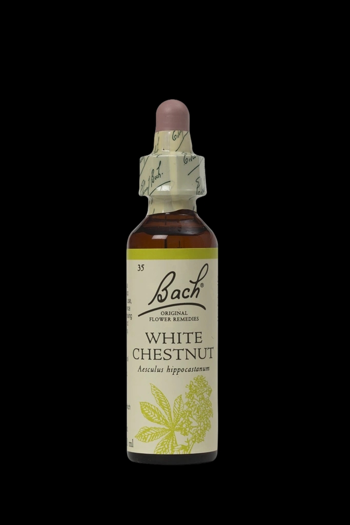 Bach Original Flower Remedies – White Chestnut