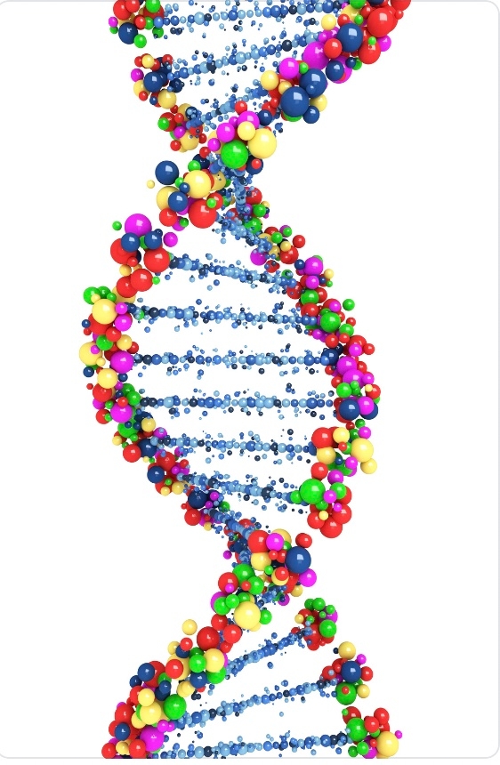 DNA helix