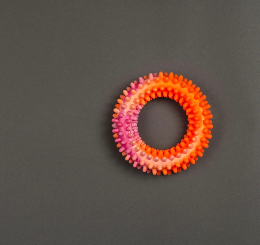 Penis ring