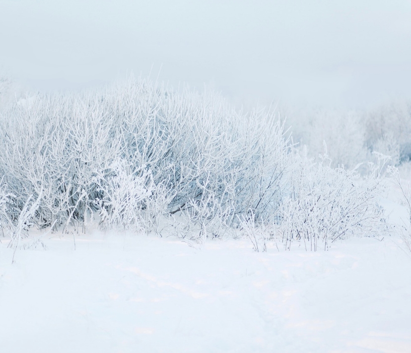 Winter