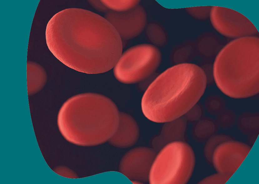 Close-up view of red blood cells on a dark background with a blue edge highlight, depicting the action of anticoagulants.
