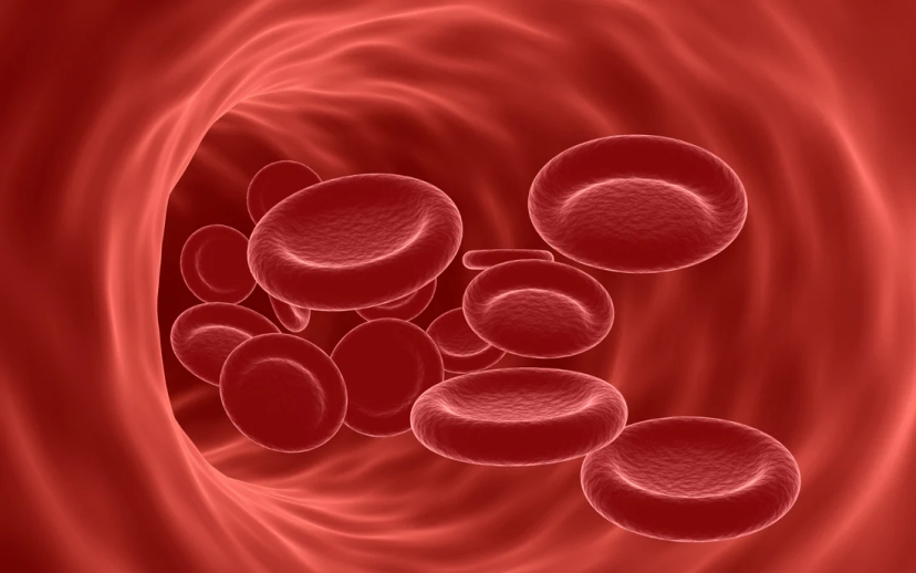 Computer-generated image showing red blood cells flowing through a blood vessel. The vessel and cells are depicted in varying shades of red, highlighting the cells' biconcave disc shape, often altered in cases with anemia symptoms.