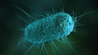 A close-up view of a single, blue-green-colored E. coli bacterium with hair-like structures extending from its surface, against a dark background.