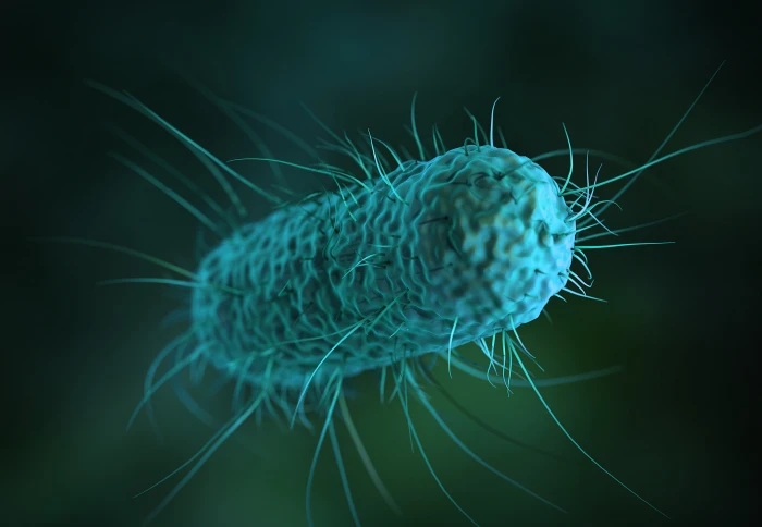 A close-up view of a single, blue-green-colored E. coli bacterium with hair-like structures extending from its surface, against a dark background.