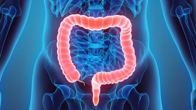 A picture of the stomach and intestine, taking a look if there is any sign of Colorectal cancer