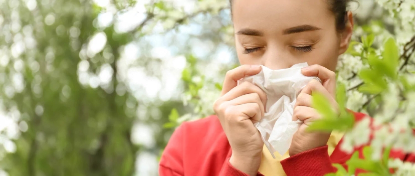 covering nose with a tissue due to allergic rhinitis