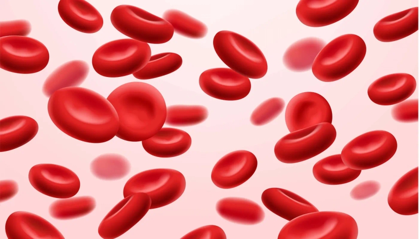 red blood cells to see iron deficiency