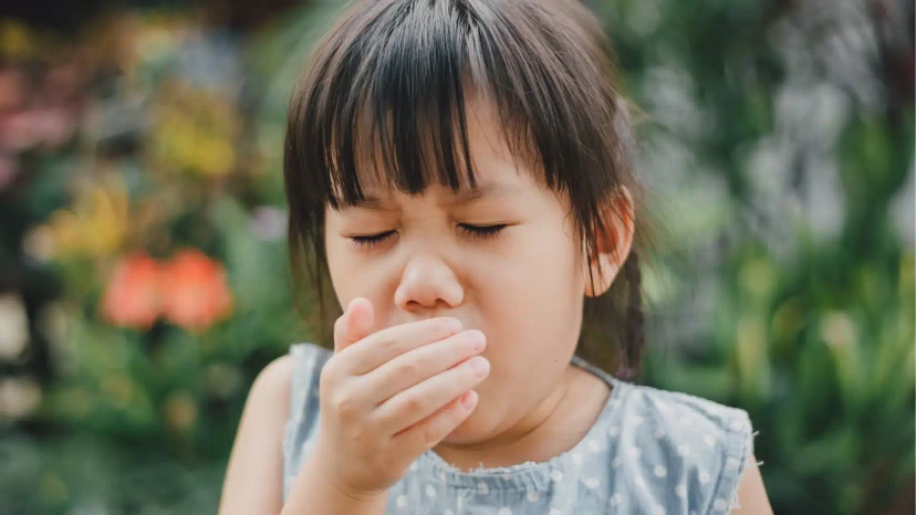 whooping cough symptoms