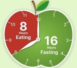 An overview of intermittent fasting concepts.