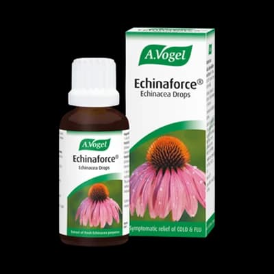 Echinaforce Echinacea Drops packaging which is available to order online from NowPatient with next day delivery