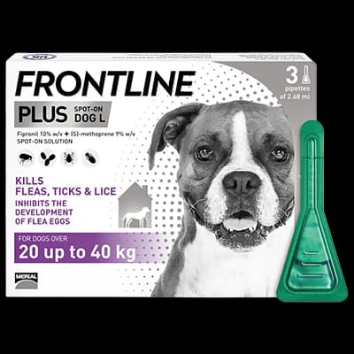 Frontline Plus Dog L 20-40kg packaging which is available to order online from NowPatient with next day delivery