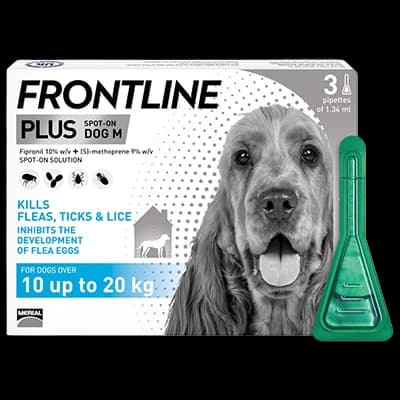 Frontline Plus Dog M 10-20kg packaging which is available to order online from NowPatient with next day delivery