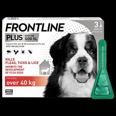 Frontline Plus Dog XL 40+kg packaging which is available to order online from NowPatient with next day delivery