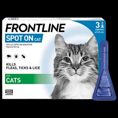 Frontline Spot On Cat packaging which is available to order online from NowPatient with next day delivery