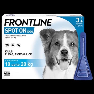 Frontline Spot On Dog M 10-20kg packaging which is available to order online from NowPatient with next day delivery
