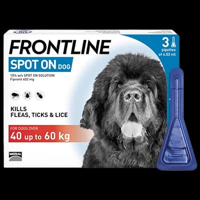 Frontline Spot On Dog XL 40-60kg packaging which is available to order online from NowPatient with next day delivery