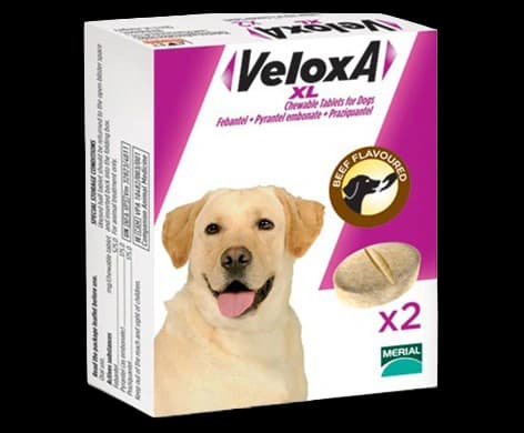 Veloxa XL