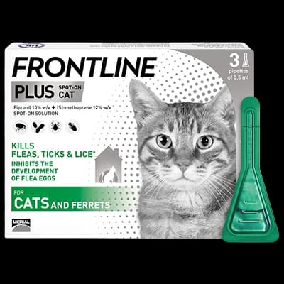 Frontline Plus Cat packaging which is available to order online from NowPatient with next day delivery
