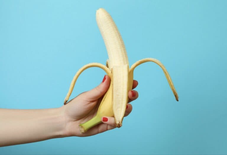 Erection