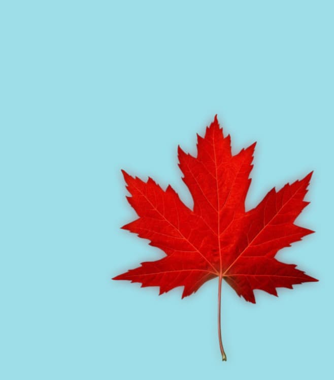 A red maple leaf on a light blue background, representing NowPatient’s Canadian prescription savings comparison service