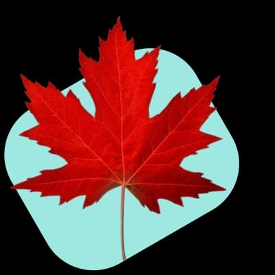 canadian rx savings