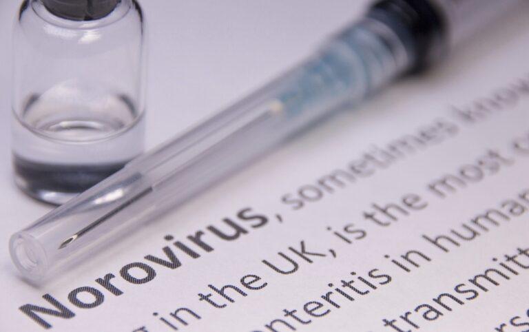Norovirus