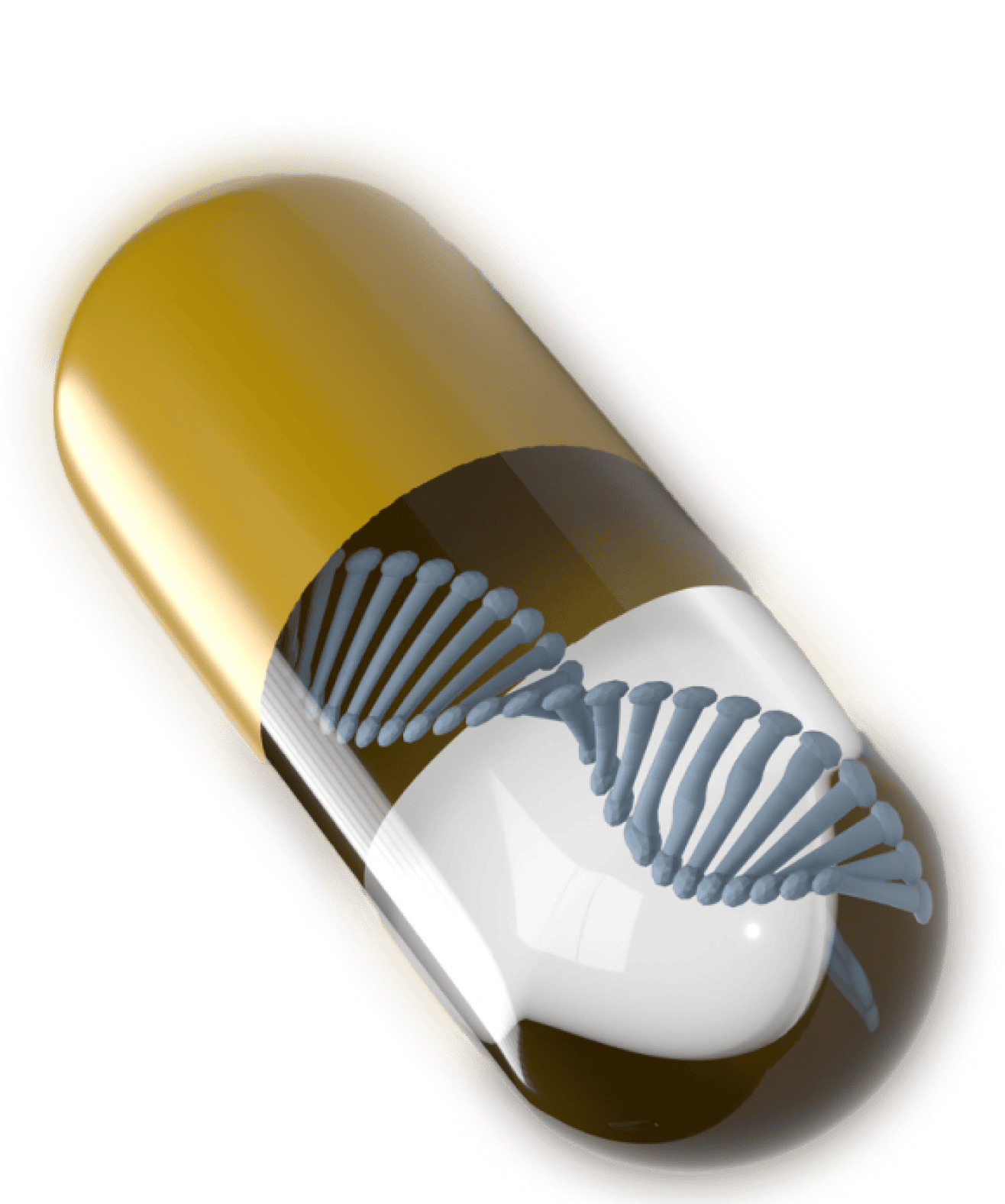 A capsule pill with a golden top and white bottom, featuring a 3D representation of a DNA strand inside.