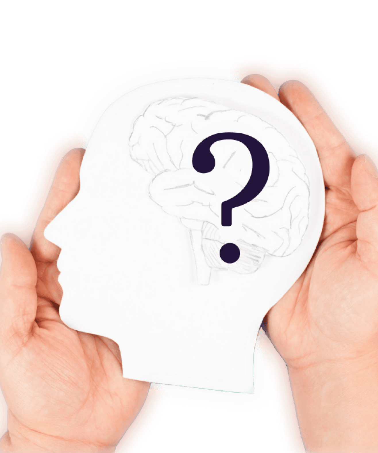 Hands holding a paper cutout of a head with a brain illustration inside and a question mark over the brain.