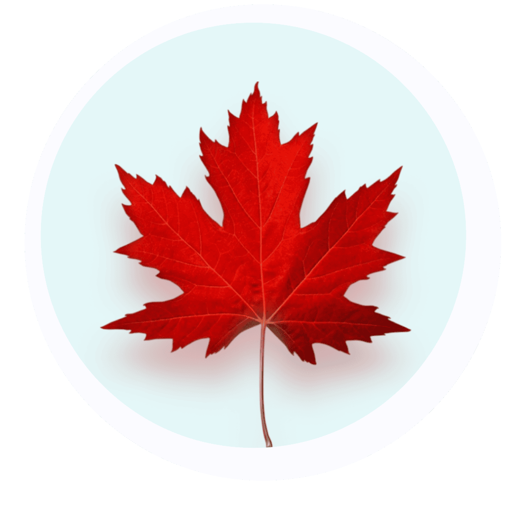 A single red maple leaf centered within a white circle on a light blue background.