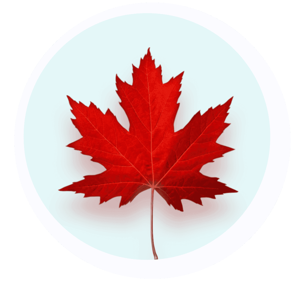 A single red maple leaf centered within a white circle on a light blue background.