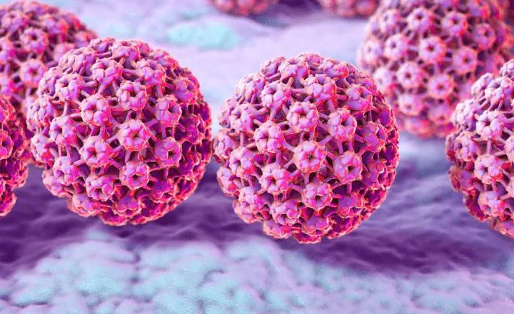 Hpv cells taking a look if it can cause colorectal cancer