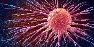 Taking a look at how long colorectal cancer cells take to develop