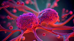 Taking a look at cancer cells to see if its linked to lymphoma