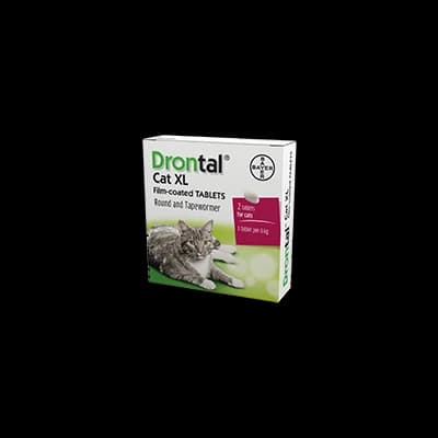 Drontal Cat XL Film-Coated Tablets packaging which is available to order online from NowPatient with next day delivery