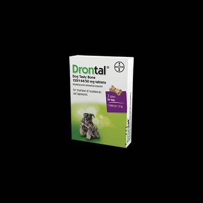 Drontal Dog XL Tasty Bone Tablets packaging which is available to order online from NowPatient with next day delivery