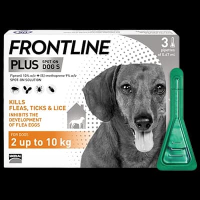 Frontline Plus Dog S 2-10kg packaging which is available to order online from NowPatient with next day delivery