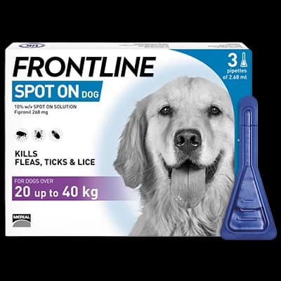Frontline Spot On Dog L 20-40kg packaging which is available to order online from NowPatient with next day delivery
