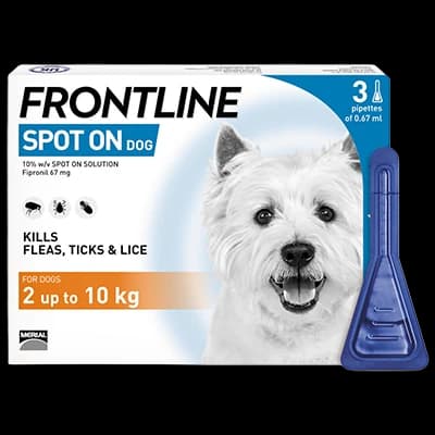 Frontline Spot On Dog S 2-10kg packaging which is available to order online from NowPatient with next day delivery