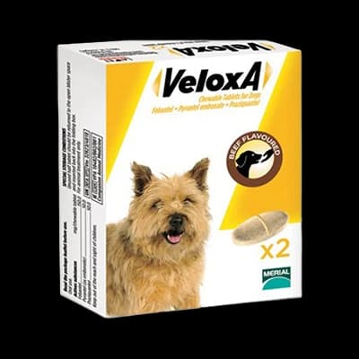 Veloxa packaging which is available to order online from NowPatient with next day delivery