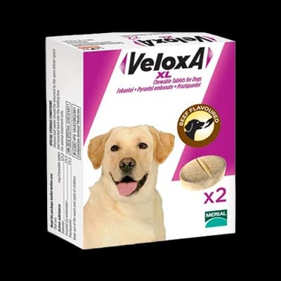 Veloxa XL packaging which is available to order online from NowPatient with next day delivery