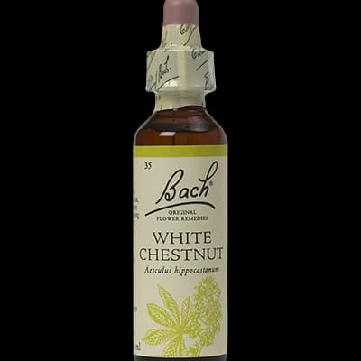 Bach Original Flower Remedies – White Chestnut
