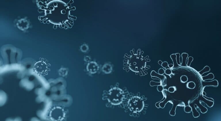 Viruses