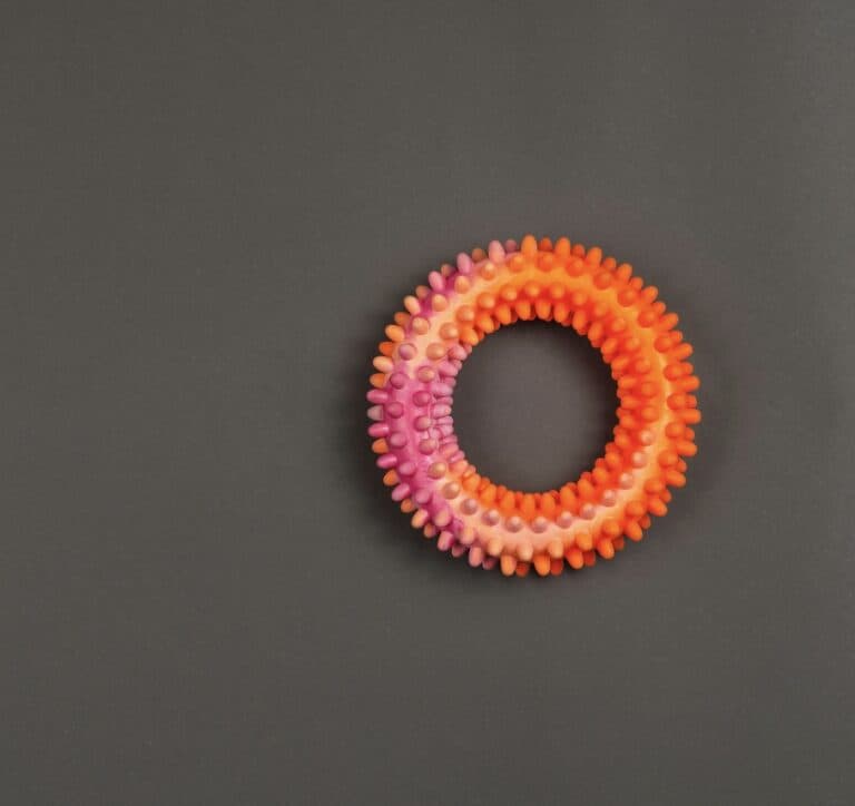 Penis ring