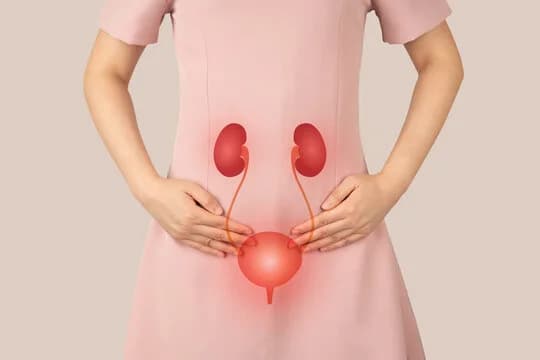 A person in a pink dress holds their lower abdomen, with a medical illustration of kidneys, ureters, and bladder overlaid on top, highlighting the possible issue of urinary retention.