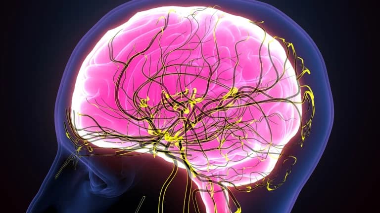 What is Epilepsy?