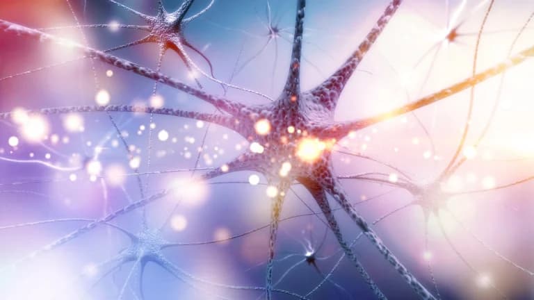 What is motor neurone disease?